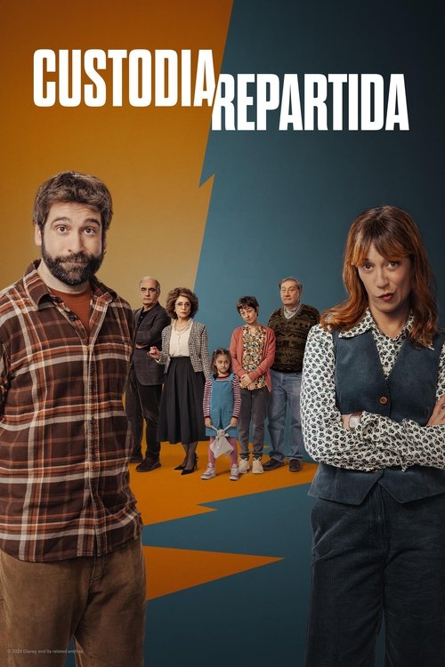 shared custody poster