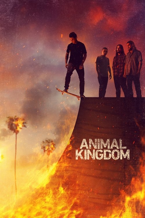 animal kingdom poster