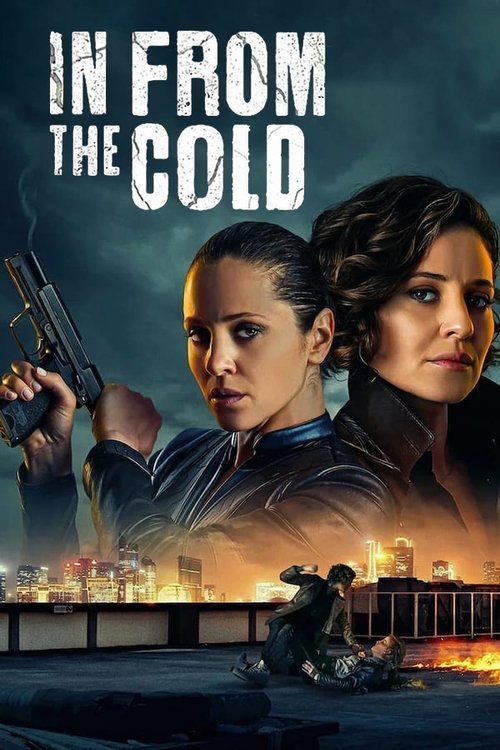 in from the cold poster