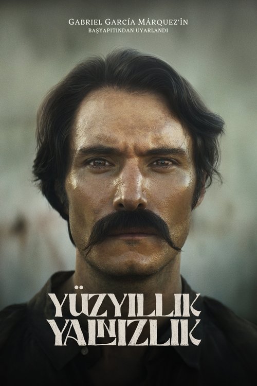 yüzyıllık yalnızlık poster