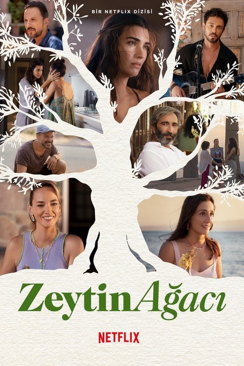 zeytin ağacı poster