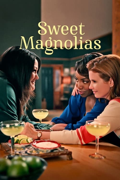 sweet magnolias poster