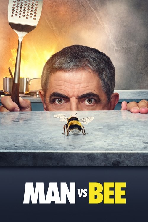man vs bee poster
