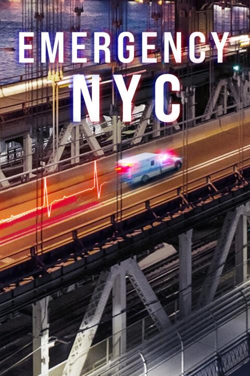 acil durum: new york poster