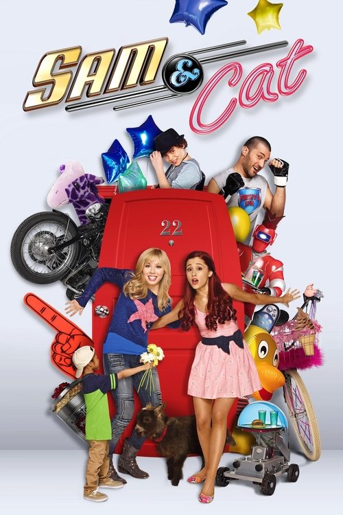 sam & cat poster