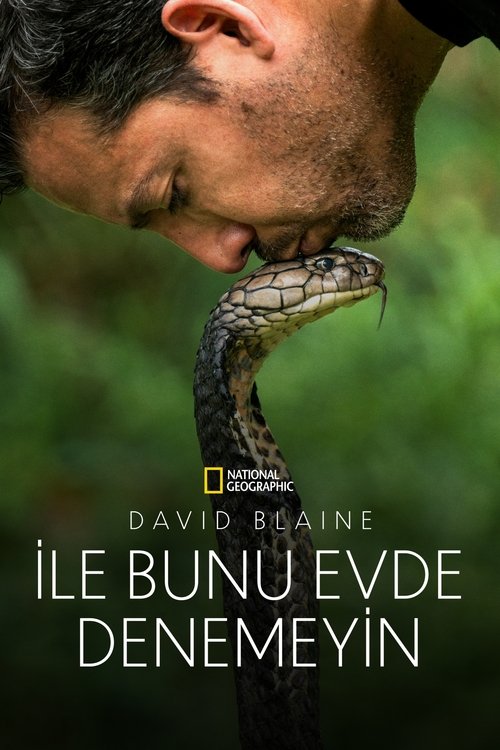 david blaine do not attempt poster