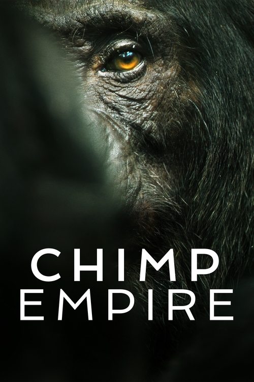 şempanze i̇mparatorluğu poster